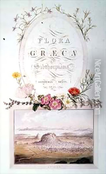 Athens, Title page of 'Flora Graeca Sibthorpiana' Oil Painting - Ferdinand Bauer