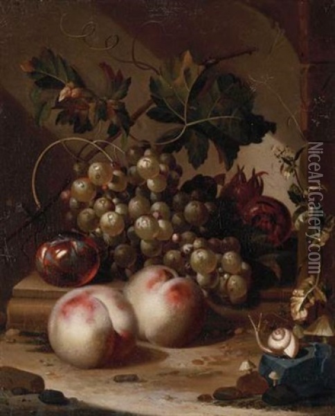 A Plum, Grapes On The Vine And Medlars On A Ledge With Peaches, A Snail In The Foreground Oil Painting - Willem Grasdorp