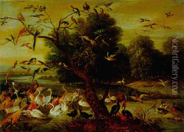 Das Vogelkonzert Oil Painting - Ferdinand van Kessel