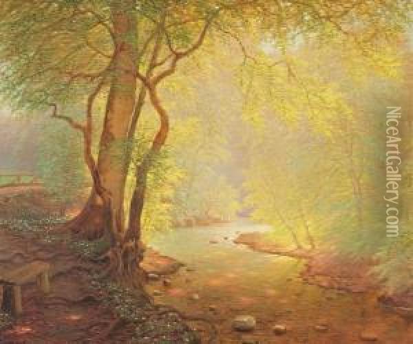 A Forest Scenery Oil Painting - Peter Busch