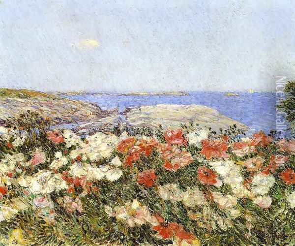 Poppies on the Isles of Shoals Oil Painting - Frederick Childe Hassam