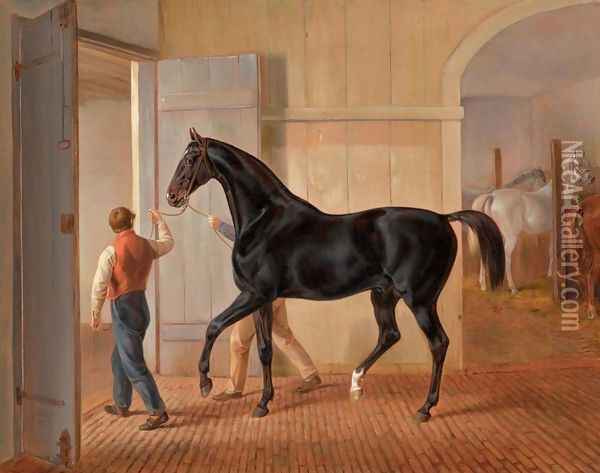 The Stallion Logic (Der Hengst Logic) Oil Painting - Adam Albrecht