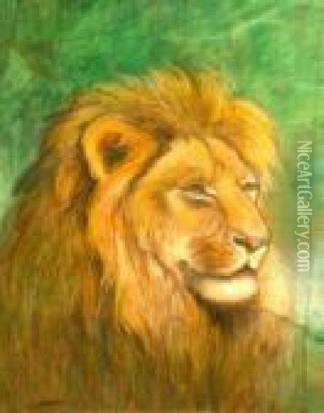 Hungarian -- Portrait Of A Lion; Coloured Chalk, Signed Lower Left, 49x39cm Oil Painting - Geza Vastagh