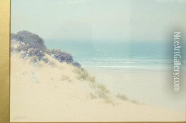 Coastal Scene, With Dunes And Gulls Oil Painting - Frederick John Widgery