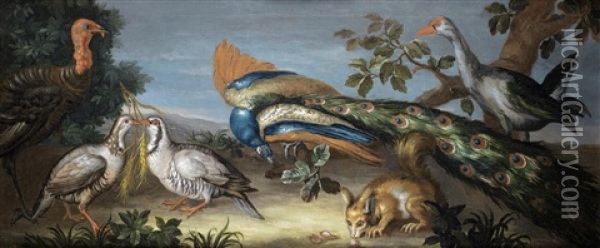 A Peacock, A Turkey, A Purple Gallinule, Partridges And A Squirrel In A Landscape Oil Painting - Jean-Baptiste Monnoyer