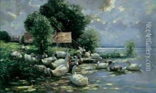 Zweiundzwanzig Enten Am Ufer Des Bodensees. Oil Painting - Alexander Max Koester