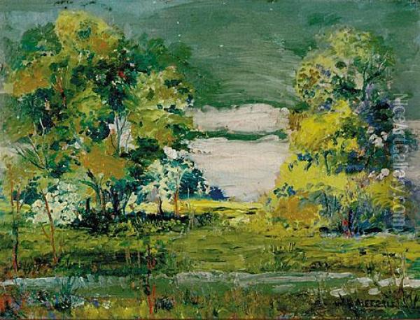Summer Landscape Oil Painting - Willard Leroy Metcalf