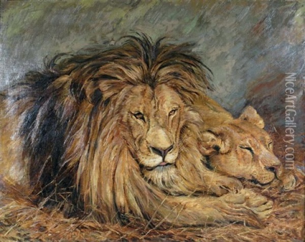 Couple De Lions Au Repos Oil Painting - Herbert Thomas Dicksee