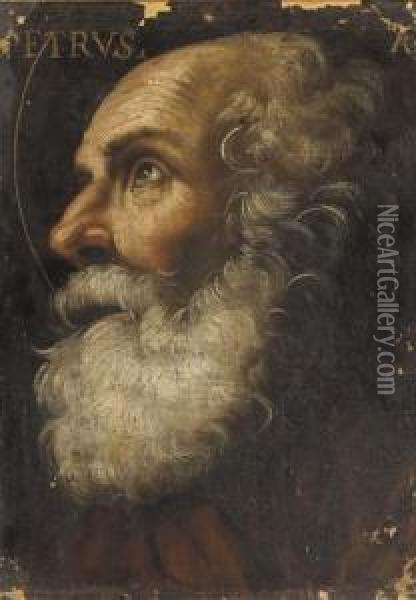 Saint Peter Oil Painting - Giacomo Cavedone