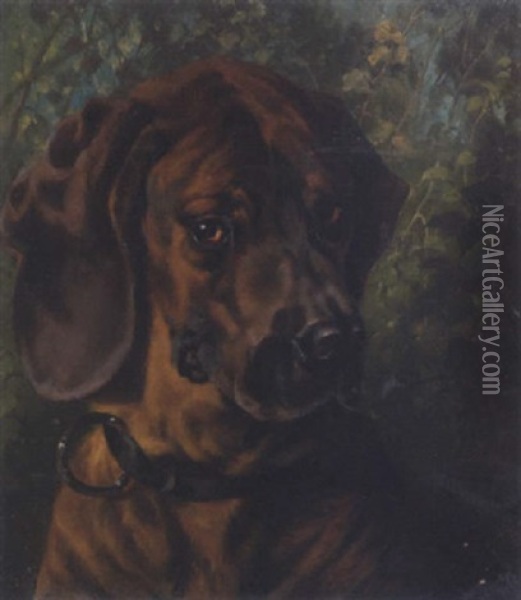 Hundeportrait Eines Dackels Oil Painting - Clara (Boettcher) von Wille