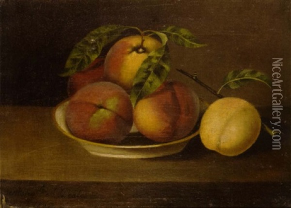 Still Life With Peaches Oil Painting - Margaretta Angelica Peale