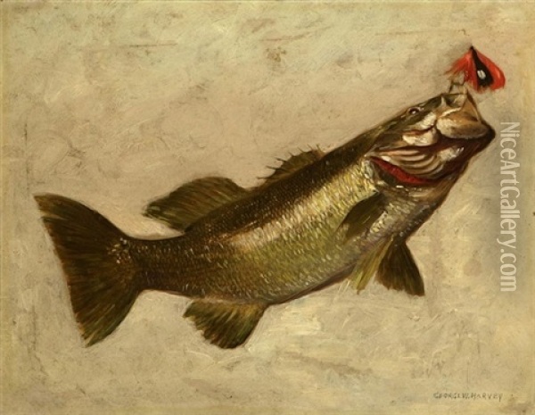 Black Bass Oil Painting - George Wainwright Harvey