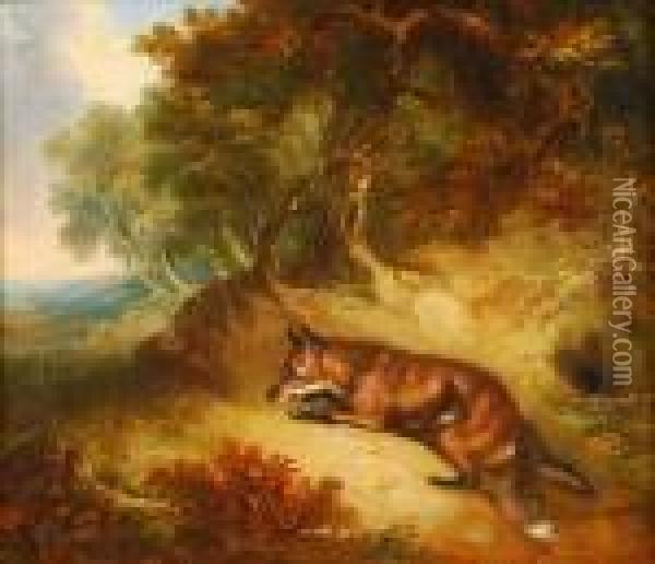 Fox In A Woodedlandscape Oil Painting - George Armfield