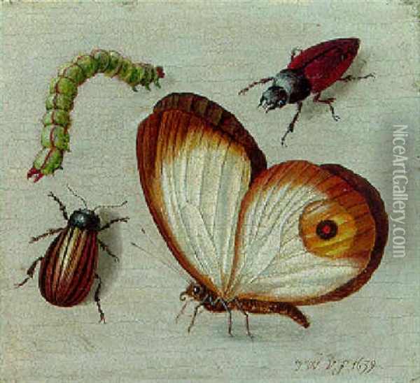 A Butterfly, Two Beetles And A Caterpillar Oil Painting - Jacob Woutersz Vosmaer