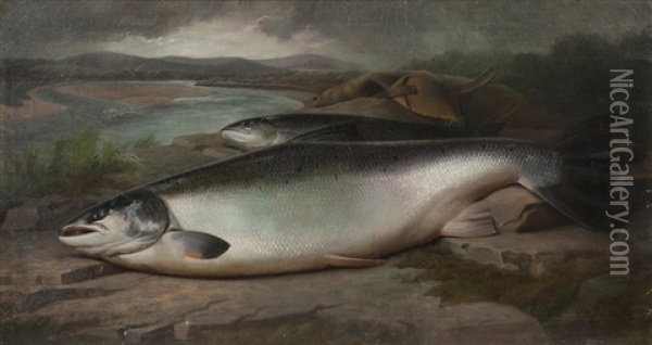 Prize Winning Salmon Oil Painting - John Bucknell Russell