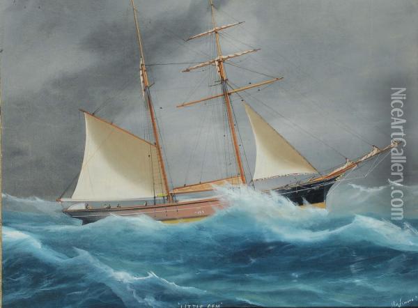 Ritrattodel Brigantino Little Gem In Navigazione In Mare Aperto Oil Painting - Antonio Higino De Magalhaes Mendonca