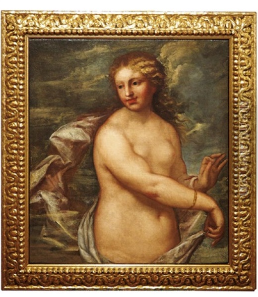 Venus Oil Painting - Marco Liberi