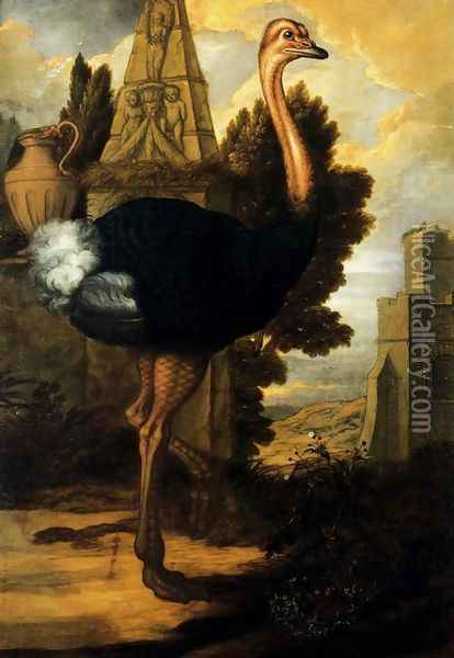 An Ostrich Oil Painting - Francis Barlow