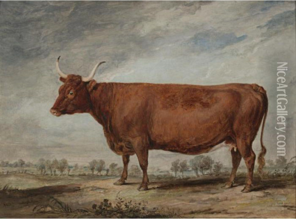 A Devonshire Cow Oil Painting - James Ward