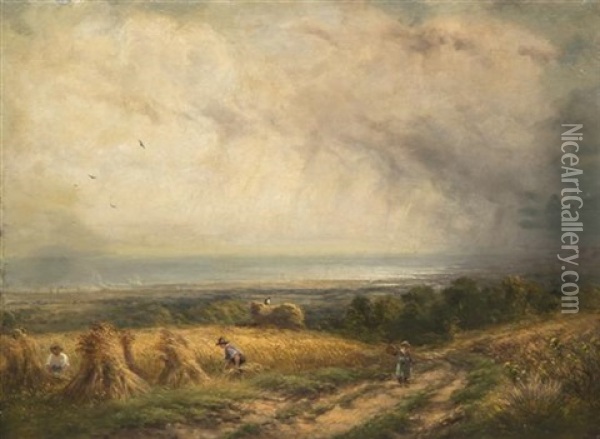 Wheat Fields Oil Painting - David Cox the Younger