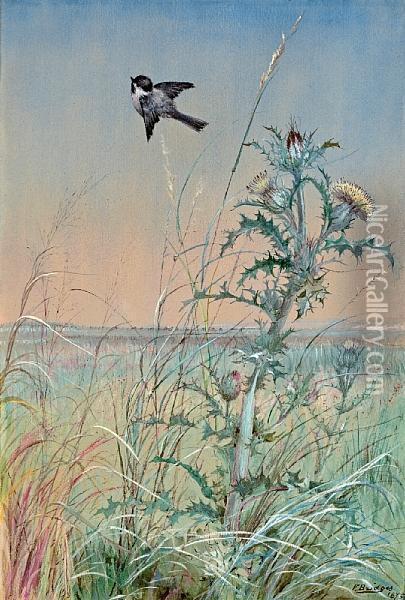 Chickadee And Thistle Oil Painting - Fidelia Bridges
