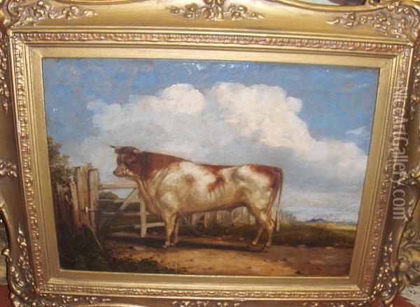A Prize Cow Oil Painting - Henry Thomas Alken