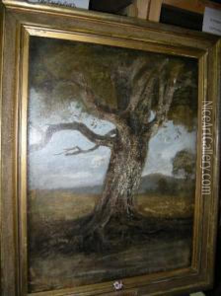 The Old Beech Oil Painting - John Crome