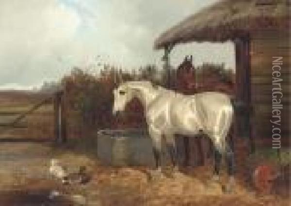 Horses At A Trough Oil Painting - Colin Graeme Roe