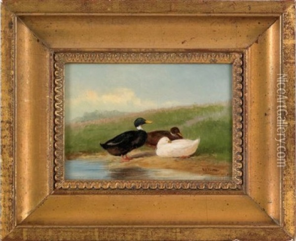 Three Ducks Oil Painting - Newbold Hough Trotter