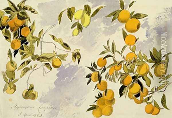Orange Trees Oil Painting - Edward Lear