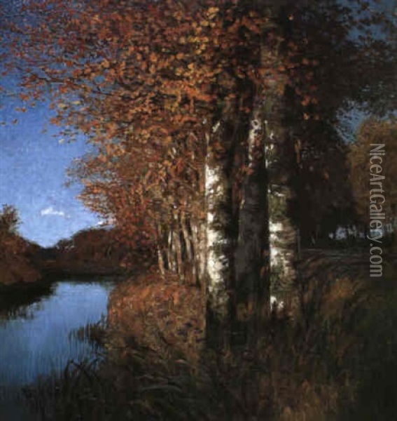 Birken Am Moorgraben Oil Painting - Hans am Ende