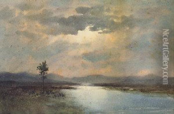 Sunlight On A River And Bog Landscape Oil Painting - William Percy French