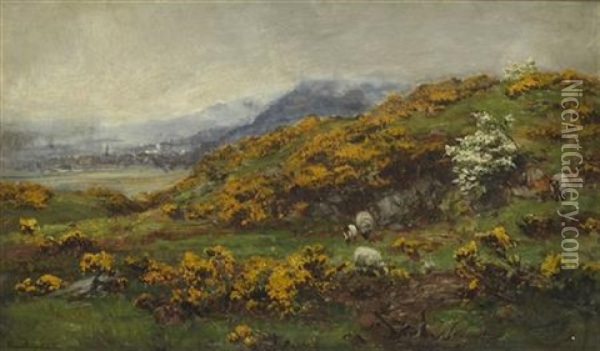 Gorse And May Oil Painting - David Farquharson