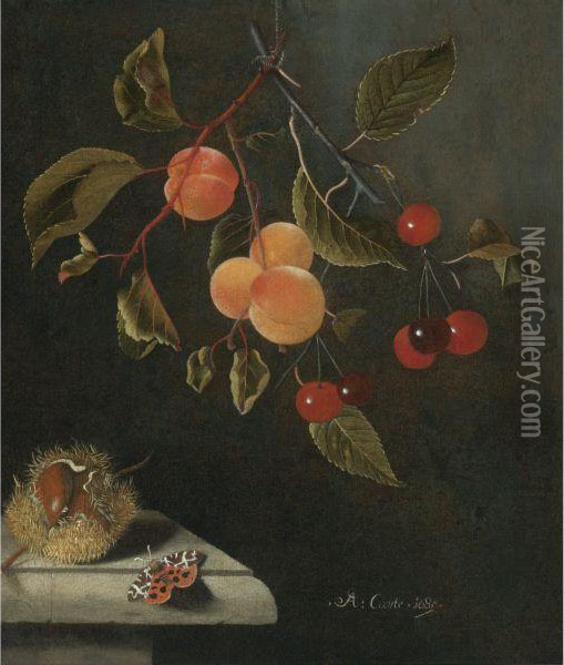 Still Life With A Butterfly, Apricots, Cherries, And Achestnut Oil Painting - Adriaen Coorte