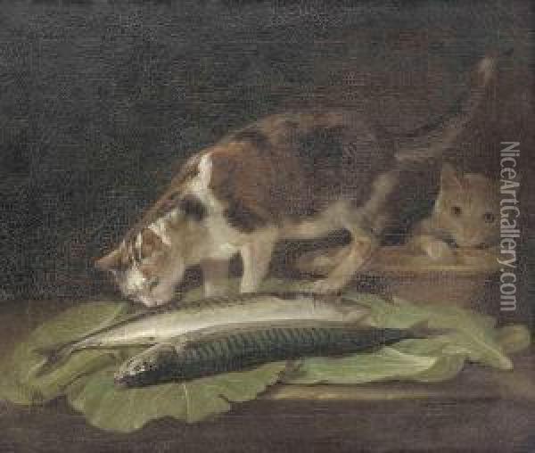 Two Cats On A Table With An Earthenware Bowl And Two Fish Oil Painting - Martin Ferdinand Quadal