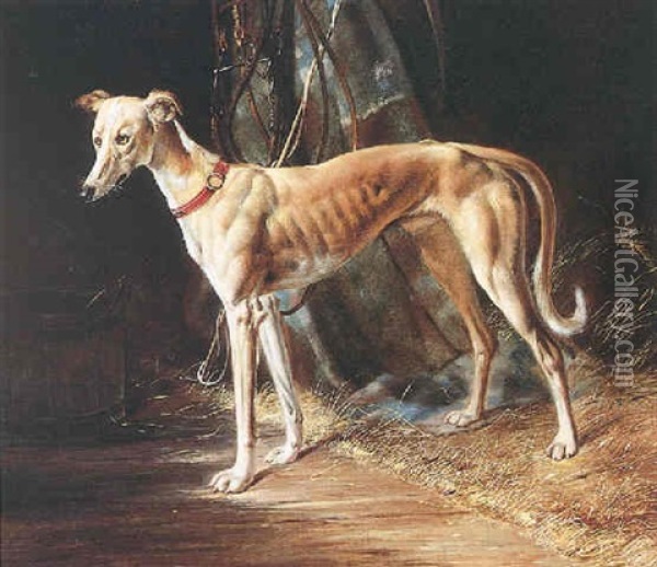 Der Windhund Oil Painting - Johann Adam Klein