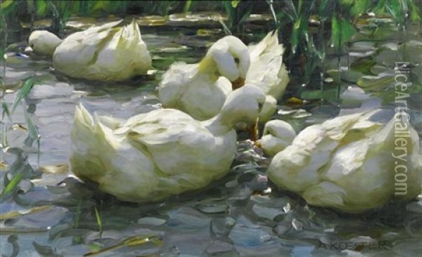 Vier Enten Im Wasser Oil Painting - Alexander Max Koester