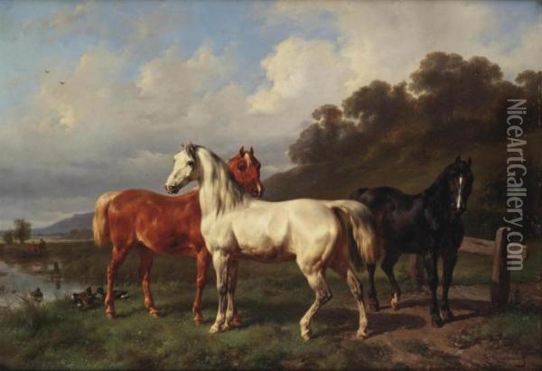 Three Horses In A Pasture Oil Painting - Wouterus Verschuur