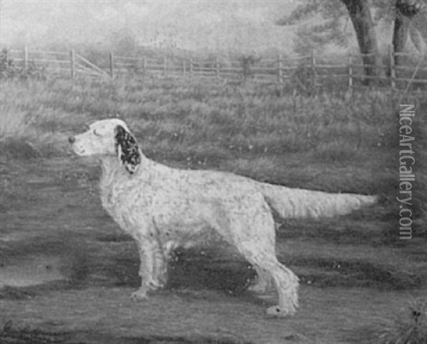 Hunting Dog In Field Oil Painting - George Cope