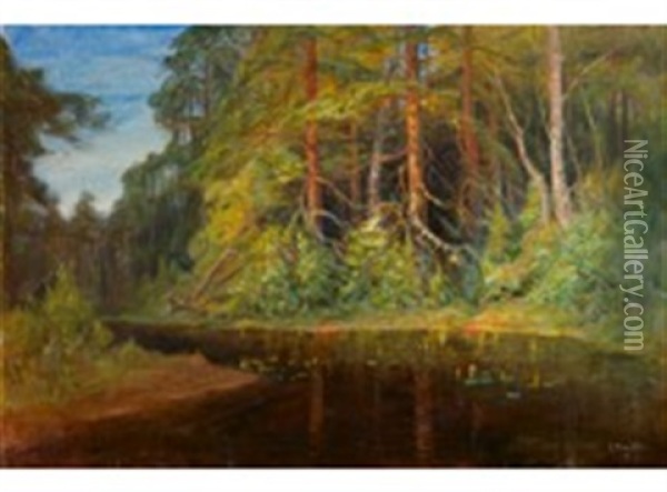 Forest Pond Oil Painting - Elias Muukka