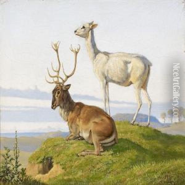 A Deer And Ahind Oil Painting - Johan Thomas Lundbye