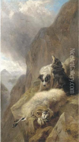 Sheepdogs With A Stricken Sheep In A Mountainous Highlandlandscape Oil Painting - Richard Ansdell