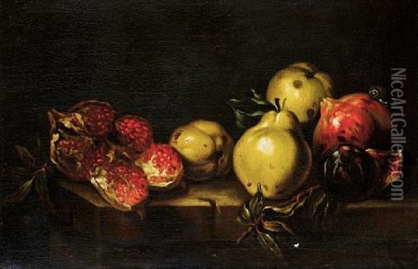 Quinces, Pomegranates And A Fig With A Snail On A Table Top Oil Painting - Agostino Verrocchi