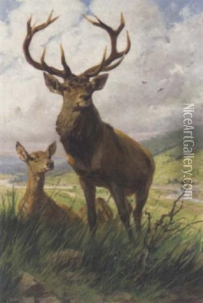 A Stag And Hinds Oil Painting - Emil Rieck