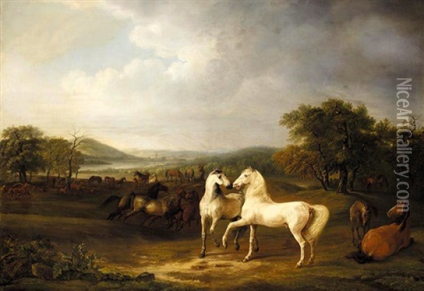 Zwei Hengste Und Andere Pferde In Einer Weiten Landschaft (two Arabian Stallions And Other Horses In An Extensive Landscape) Oil Painting - Albrecht Adam