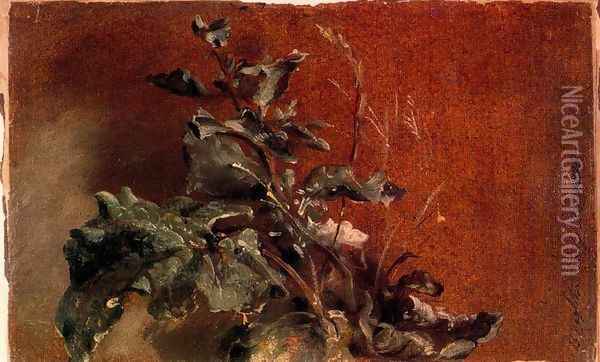 Study of plants Oil Painting - John Constable