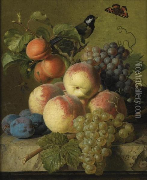 Stll Life Of Peaches, Grapes And Plums On A Stone Ledge With A Bird And Butterfly Oil Painting - Jan Frans Van Dael