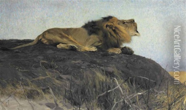Brullender Lowe Oil Painting - Wilhelm Friedrich Kuhnert