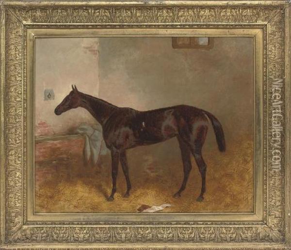 A Favourite Racehorse Oil Painting - Harry Hall