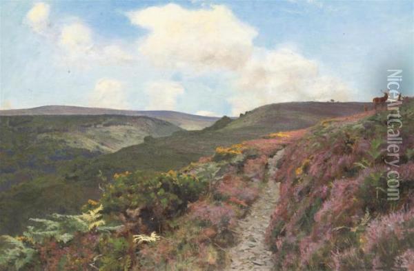 Lady Acland's Path, Near Parlock, With Dunkery In Thedistance Oil Painting - Arthur Wardle